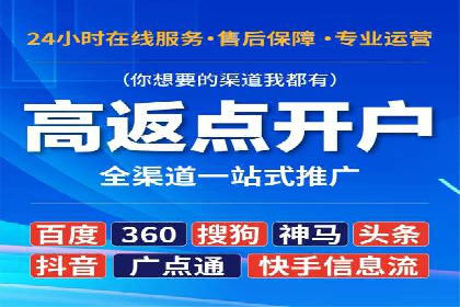 热门充值高返点平台案例分析